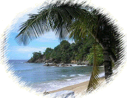 Land for Sale - Abraham Tobago Realty