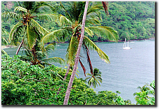 Beach near SeaShells Vacation Villas for rent, Tobago