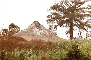 mudvolcano.jpg (25030 bytes)